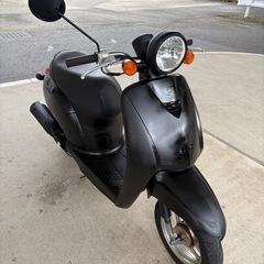 まだあります‼️ホンダ　トゥデイの画像