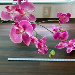 フェイク観葉植物（ピンクの胡蝶蘭）の画像