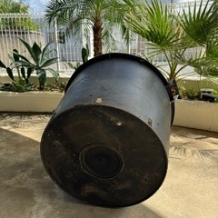 新品、植木鉢の画像