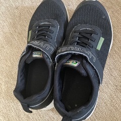 子供女子スニーカーの画像