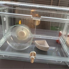 ハムスター用品の画像