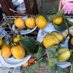 渋柿❣️たくさん大量‼️一皿3つ
￥100円⭕️の画像