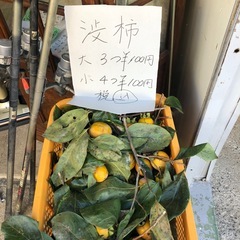 渋柿❣️たくさん大量‼️一皿3つ
￥100円⭕️の画像