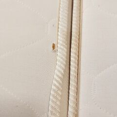 💫無料！ビーナスベッド クイーンサイズ 木製フレーム＆マットレス付き 引き取り限定💫の画像