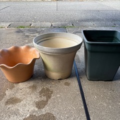 ただ今取り引き相談中　鉢の画像