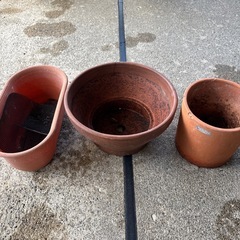 ただ今取り引き相談中　鉢の画像