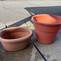 ただ今取り引き相談中　鉢の画像