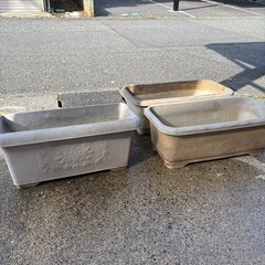 ただ今取り引き相談中　鉢の画像