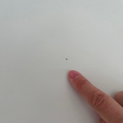 【2年使用】2人用ダイニングテーブルの画像