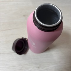 11/10まで★ステンレス　ボトル　水筒の画像