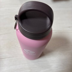 11/10まで★ステンレス　ボトル　水筒の画像