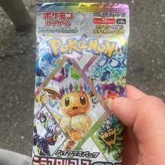 テラスタルフェス10Pの画像