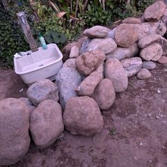 【1万円差し上げます】庭石20個前後、直径30から40cm前後の画像