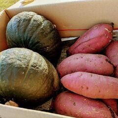 【数量限定】さつまいもセットの画像