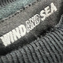 WINDADNSEA トレーナーの画像