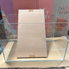 45センチ　水槽の画像