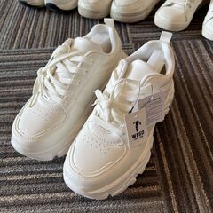 23cm程度　靴（レディース）と買い物カートの画像