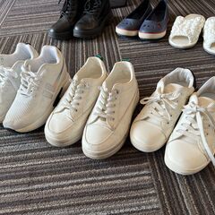 23cm程度　靴（レディース）と買い物カートの画像