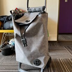 23cm程度　靴（レディース）と買い物カートの画像