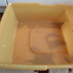 アイリスオーヤマ　砂落としマット付ネコトイレ SN-520  カバー（フード）なし　中古の画像