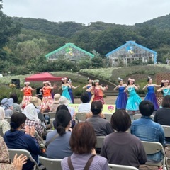 【New!!】2025年12月初開講🦋未経験・初心者向けフラダンスの画像