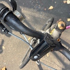 クロスバイク Panther athena2.0 の画像