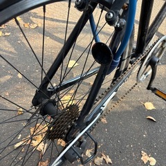 クロスバイク Panther athena2.0 の画像