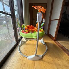 破格の500円！🐸 フィッシャープライス ジャンパルー（カエル）の画像