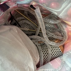 鳥☆インコ☆小動物☆保温電球☆サーモスタットセットの画像