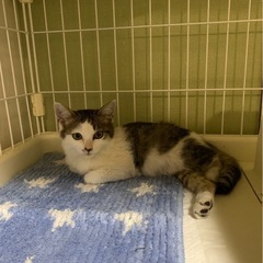 ふろころ(〃ω〃)月ちゃん🌕