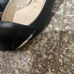 ダイアナパンプスの画像