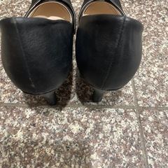 ダイアナパンプスの画像