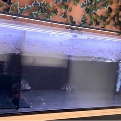 1200アクリル水槽セットの画像