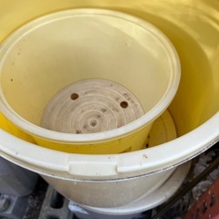 漬物　おけ　タル　樽の画像