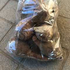 里芋　（600g）の画像