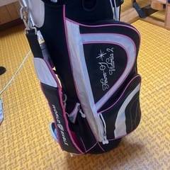 レディース ゴルフクラブセット アイアン ドライバー パター　バックもセットの画像