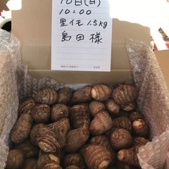 里芋　サトイモ　（1.5kg）の画像
