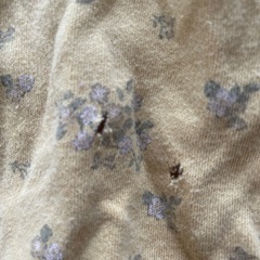 90女の子穴あきの画像