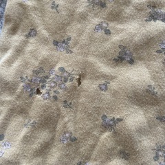 90女の子穴あきの画像