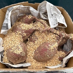 里芋とサツマイモのセット（2kgづつ）の画像