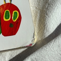 はらぺこあおむし絵本の画像