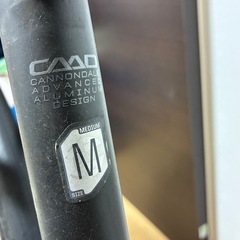 バッドボーイ　の画像