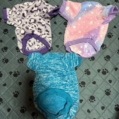 ペット服 新品の画像