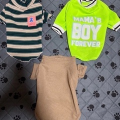 ペット服 新品の画像