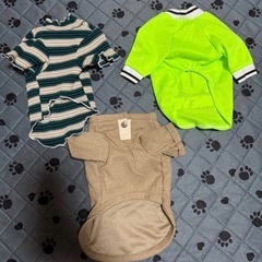 ペット服 新品の画像