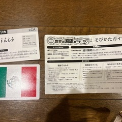 【受渡決定】世界の国旗カード・世界地図の画像