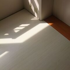 ウッドカーペット　フローリングカーペット　2枚セット（成約済み）の画像