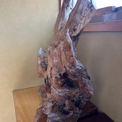 置き物　木の根　大
の画像