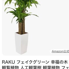 ✿値下げ✿幸福の木フェイクツリー、人工木、フェイクグリーンの画像