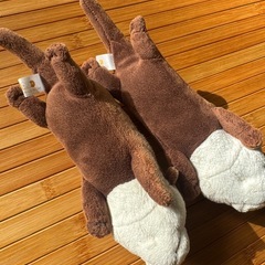 ぬいぐるみの画像